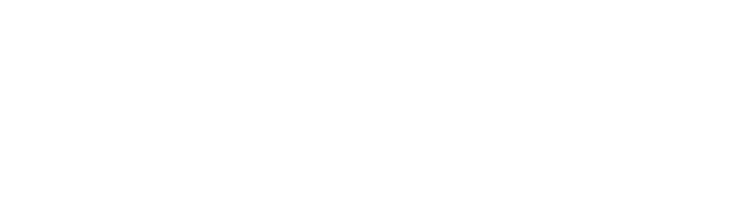 HaptiCam